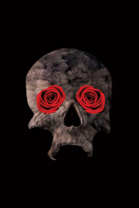 MARTIDECOSTE_FRIDAGATOSKULL_2017